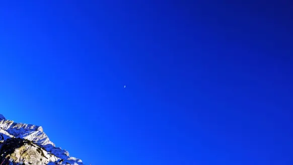 Καζίνο Μπετ Ροκερ Υποστηριξη